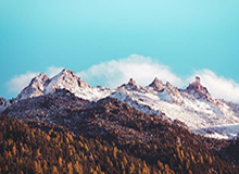 华体会官网-欧冠淘汰赛 利物浦出师不利